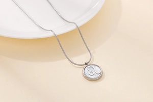 Close-up of silver stainless steel necklace featuring a round Leo zodiac shell pendant