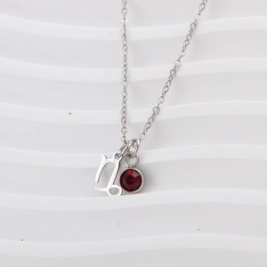 Macro view of silver Capricorn pendant with red zircon stone on stainless steel chain