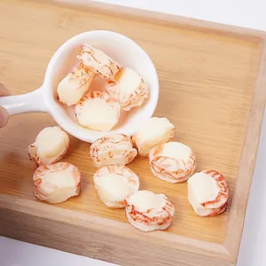 Artificial Scallop Meat PVC Simulation Seafood Model For Photography Props DIY Play House Miniature Decor Toy
