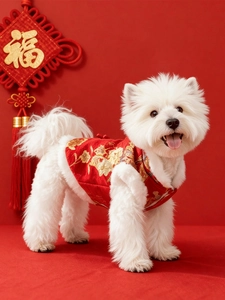Detail of red pet Tang suit with golden floral embroidery and white plush trim