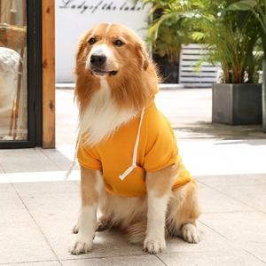 Front view of a golden dog wearing a cozy yellow fleece hoodie with white drawstrings outdoors