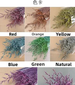 Detailed color chart showing dried Limonium bouquets in red, orange, yellow, and blue