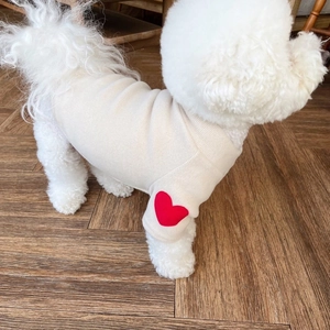 Detail of pet sweater cuff featuring a red heart on beige knit on a white Bichon dog
