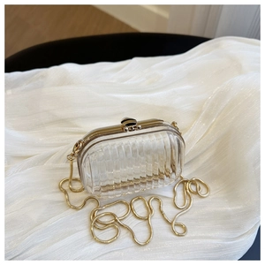 Macro shot of acrylic box bag with golden snake chain and spherical stripe lock