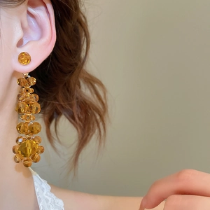 Close-up of amber crystal tassel drop earrings worn by model showcasing the shiny finish