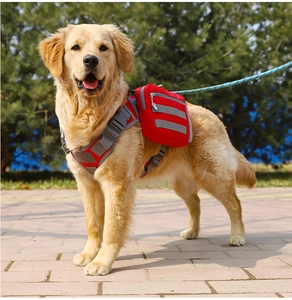 Outdoor detail of red tactical dog backpack with storage pouches and reflective strips