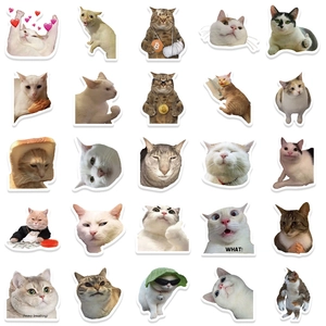 Set of 25 funny meme cat stickers for laptops and luggage featuring popular internet cats