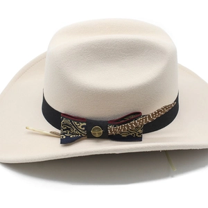 Detail of wide brim felt hat with black ribbon, navy paisley bow, and feather accent