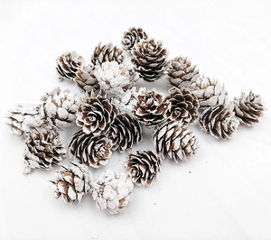 Close-up of small natural pine cones with white snow paint for DIY Christmas crafts