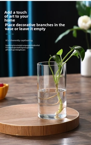 Close-up of a clear cylindrical glass hydroponic vase on a rustic wooden tray