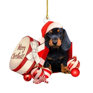 Cartoon dachshund Christmas ornament with red gift box and festive hat on white background