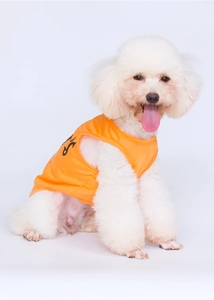 Detail of orange pet vest with black lettering and neat stitching for small dogs