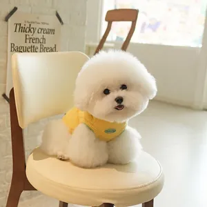 Cozy yellow banana knit dog sweater vest with green trim on a white Bichon Frise