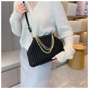 Fashionable black pleated bag with gold chain strap detail shown on a model