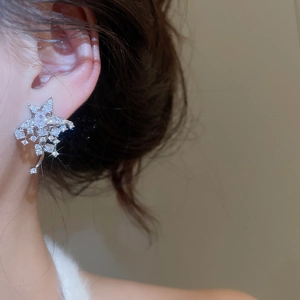 Gros plan de boucles d'oreilles étoiles en argent avec pampilles en zircon brillant