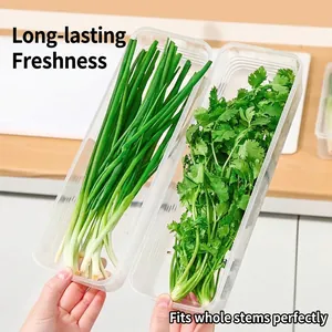 Transparent long plastic food storage container for fresh scallions and cilantro stems.