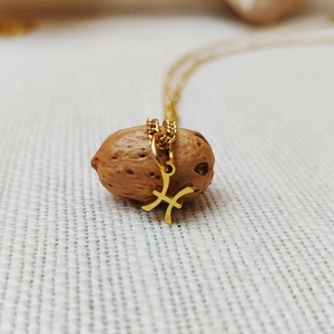 Detailed view of a gold-tone Pisces zodiac pendant necklace hanging on a walnut shell