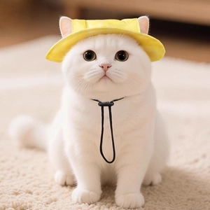 Pet Sun Hat With Ear Holes Adjustable Drawstring Polyester Bucket Hat For Cats And Small Dogs Outdoor Casual
