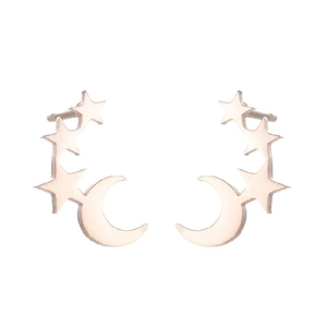 Elegant rose gold star and moon stud earrings in polished stainless steel for women