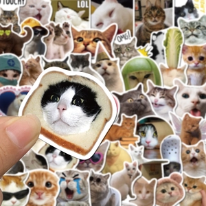 Close-up of waterproof PVC meme cat stickers for laptop and bottle decoration