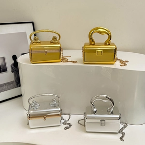 Glossy acrylic box evening clutch with chain strap and lion head handle in gold and silver