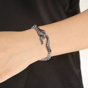 Snake Head Clasp Bracelet Stainless Steel Retro Punk Hip Hop Street Style Jewelry For Men Women Fashion Gift Accessories