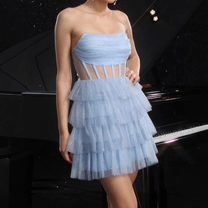 Détail d'une robe bleu clair avec corsage transparent et jupe en tulle à volants