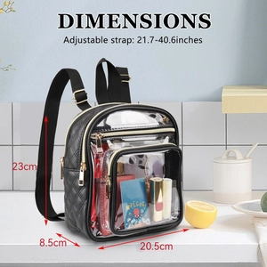Detailed size chart showing dimensions 23x20.5x8.5cm for this transparent PU backpack