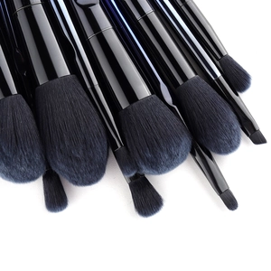 Professional 10pcs blue makeup brush set with black handles for powder and blush