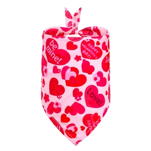 Close-up of pink Valentine's Day dog bandana with heart patterns and Happy Valentine's Day text