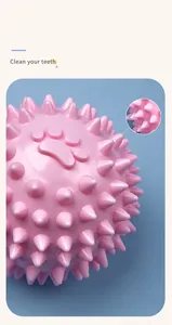 Gros plan sur la balle de dentition rose pour animaux avec picots souples pour le nettoyage