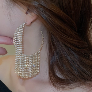 Close-up of a model wearing large silver tassel earrings with shimmering rhinestones