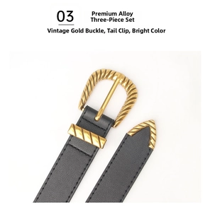 Detail of vintage gold 3-piece alloy buckle set on a black textured leather belt