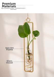 Detail of hanging gold iron frame and glass vase for hydroponic plants with wall hook
