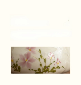 Detail of hand-painted daisy pattern on premium ceramic tea strainer accessory