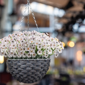 Hanging gray woven basket with artificial white and purple violets on metal chain