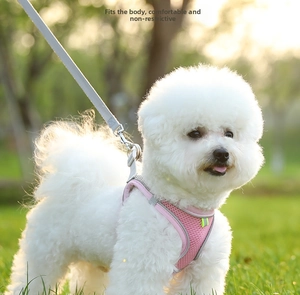 Pink breathable mesh pet harness set on small white dog with reflective detail in grass