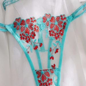 Detailed embroidery of red flowers on light blue lace lingerie with adjustable silver buckle