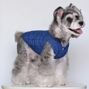 Close-up of blue quilted pet vest with snap buttons on a dog, standing on a white platform