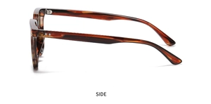 Detailed side view of tortoise shell frame sunglasses with metal hinge and sleek temples