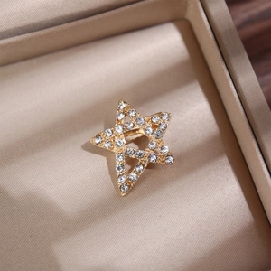 Macro di una spilla a stella dorata con strass di cristallo su fodera per gioielli