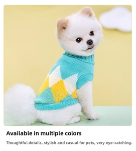 Detail of mint green knitted pet sweater with yellow and white argyle pattern on a dog