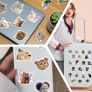 Set of 100 cute waterproof cat meme stickers for laptop, phone case and luggage decoration