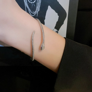 Macro-opname van zilveren slangenarmband met rode edelsteenogen en schubben op de pols