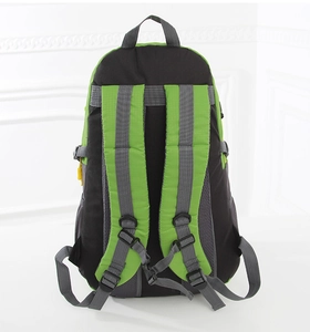 Rear view of outdoor backpack with padded S-shaped straps and adjustable buckles