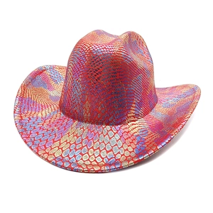 Detail shot of the colorful iridescent scale texture on a wide brim cowboy party hat