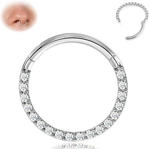 Anneau De Septum En Titane G23 Incrusté De Zircon Clicker À Charnière Sans Couture Pour Piercing D Oreille Unisexe