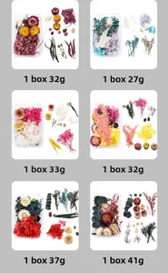 Detailed view of DIY preserved dried flower kits in transparent boxes with various weights