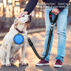Laisse pour chien en nylon avec bol pliable pour une utilisation en extérieur