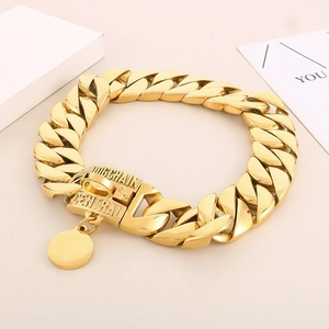 Detailed view of heavy golden stainless steel Cuban dog collar with engraved buckle and tag